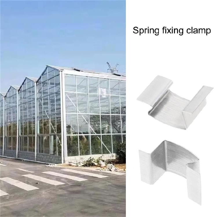 Professional Greenhouses Glass Retainer Clip 25/50pcs 25mmx10mmx15mm Reinforced Stainlesses Steel Horticulture Clip