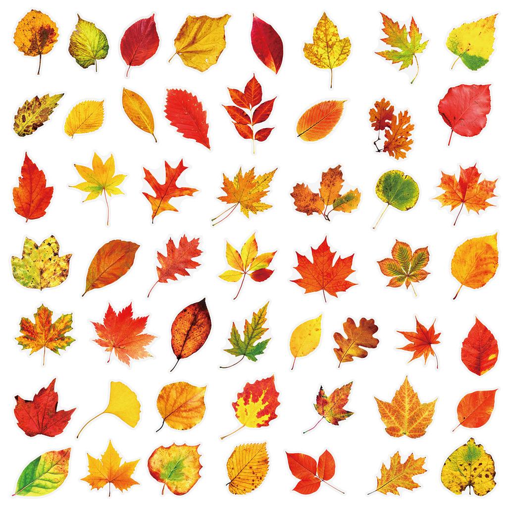 50PCS Plant Leafy Maple Leaf Stickers Transparent PET Waterproof DIY Stationary Notebook Personalized Decor Stickers