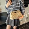 Wool Knitted Bag Women's Large-capacity New Autumn and Winter Versatile Chain Messenger Bag Casual Commuter Bag