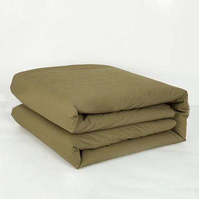 Thickened Cotton Quilt