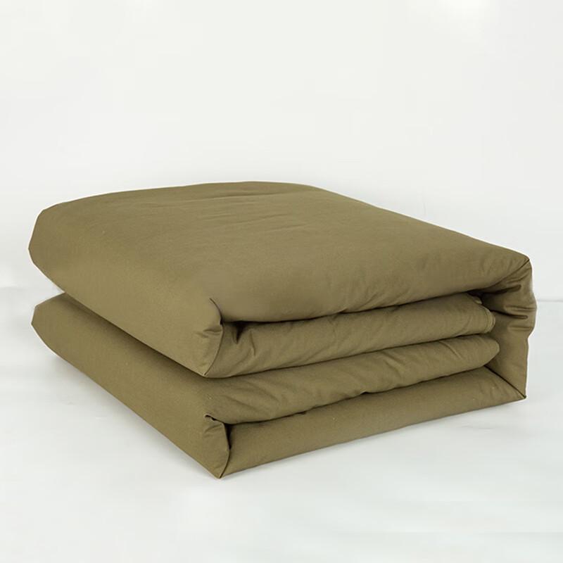 Thickened Cotton Quilt