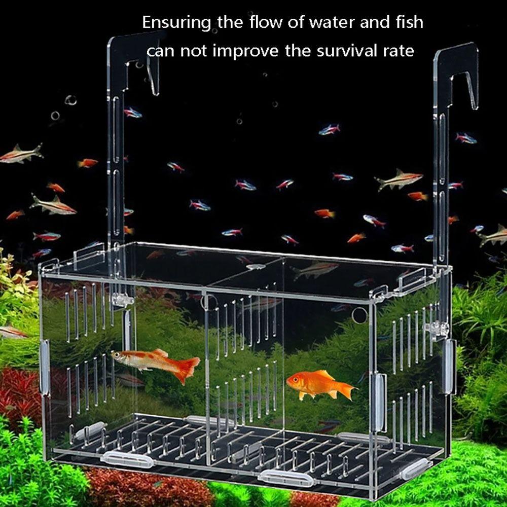 1Pcs Small Fry Aquarium Isolation Box Hatchery Divider Hydroponic Plant Box  Fish Tank Accessory