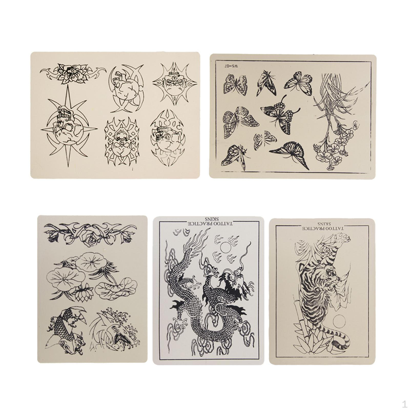 

Practice Skin With 5 Piece Drawings For Supply Of