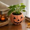 Halloween Pumpkin Face Planter for Indoor Outdoor Fall Decor