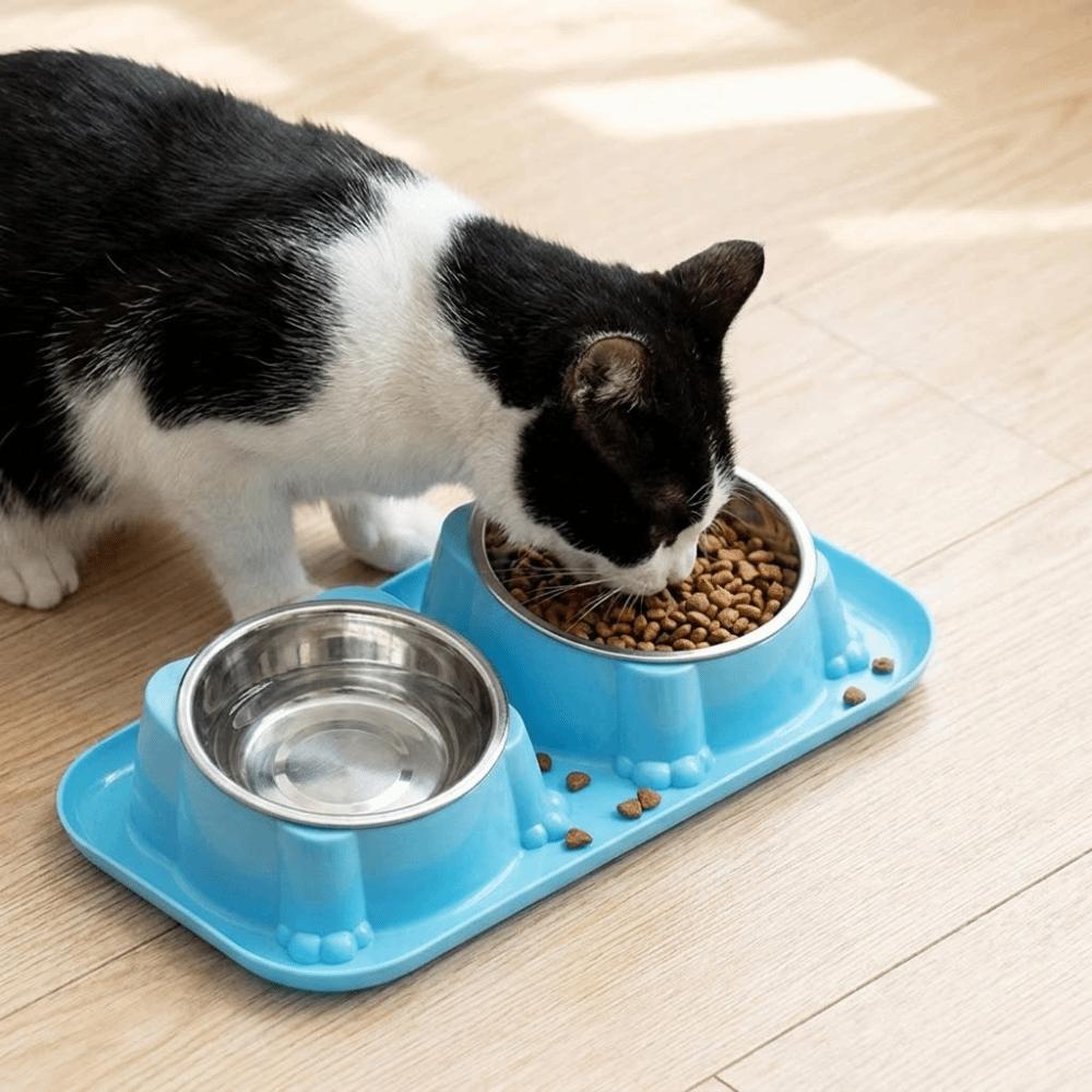 Oblique Mouth Stainless Steel Pet Bowl Anti-Overturning Double Pet Bowl  Puppy Feeding