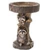 little raccoon