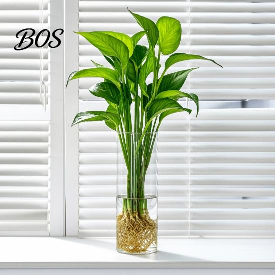 Fashionable Simple Vase Plastic Clear Cylinder Vase, Modern Flower Arrangement Transparent Unbreakable Lightweight Table Centerpiece for Home