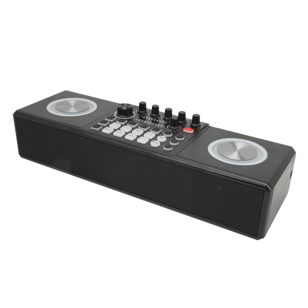 Karaoke Machine with 2 Microphones Portable Bluetooth Outdoor Sound Card Speaker Karaoke Machine Set for Home Party