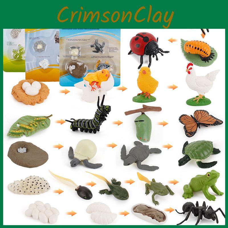 Animal Model Set Pvc Collectible Insect Bird Reptile Amphibian For Education And Display