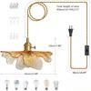 Vintage Hanging Light with Plug In Cord on/Off Switch Brushed Brass Pendant Light Fixtures