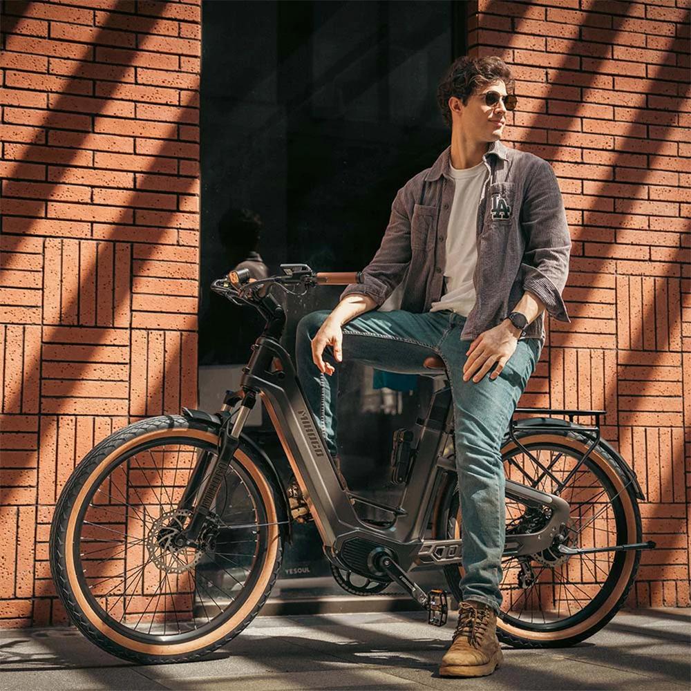 Carbonfaser Elektrofahrrad MIHOGO Air 26" 750W Motor 2x48V 9.6AH Doppelakku Maximale Reichweite 200Km Last 120KG