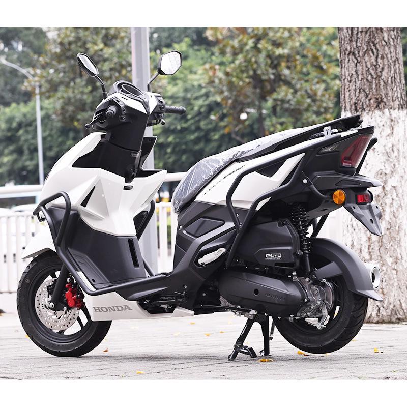Compatible Honda CBR125R NS125RX Bumper SDH125T-40 Anti-Fall Front & Rear Protective Bars Modified Accessories.