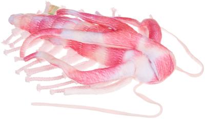 Ancient Creatures Series Marrella Plush Toy 6230