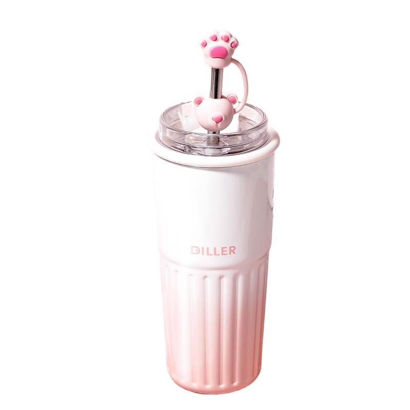 Diller Cherry Blossom 500ML Thermos with Straw