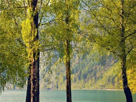 5D DIY diamantová malba Krajina Mozaika Křížkový steh Krajina Diamantové vyšívání Domácí dekorace Řemesla