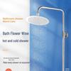 LiLong Stainless Steel Exposed Shower System