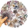 50Pcs Dried Flower Collection Record PET Stickers Decorative handmade Scrapbooking Material Diary Album Craft Supplies