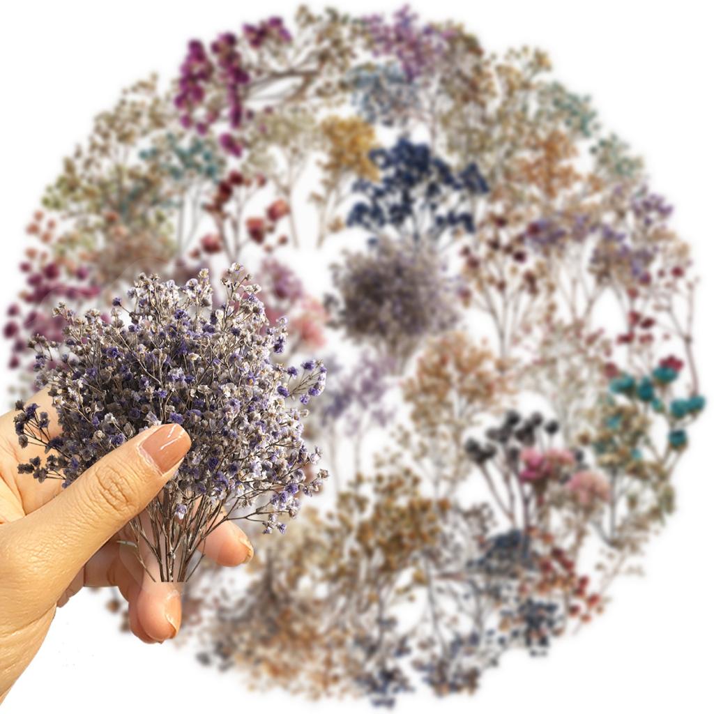 50Pcs Dried Flower Collection Record PET Stickers Decorative handmade Scrapbooking Material Diary Album Craft Supplies