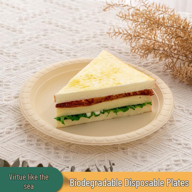 Disposable Degradable 3-Compartment Food Containers