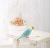 Hamanaka Wool Felt Cute Little Pastel Made with Aclaine Kit, Bird, Budgie, Colors, H441-525, Blue,