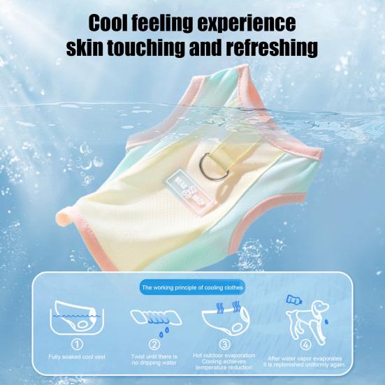 Mesh Dog Cooling Vest Summer Breathable Sleeveless T-Shirt Color Block Pet Tank Top with D-Ring for Small Dogs Yorkie Chihuahua