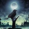 Rekwizyty Halloween Black Crow Realistic Raven Spooky Feathered Crows House Decor