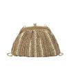 Summer bags women's ins niche 2025 new trendy fashion messenger bags women's bags summer versatile straw shell bags