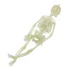 Glowing In The Dark Halloween Skeleton Decor Luminous Lifelike Skeleton Model for Front Lawn