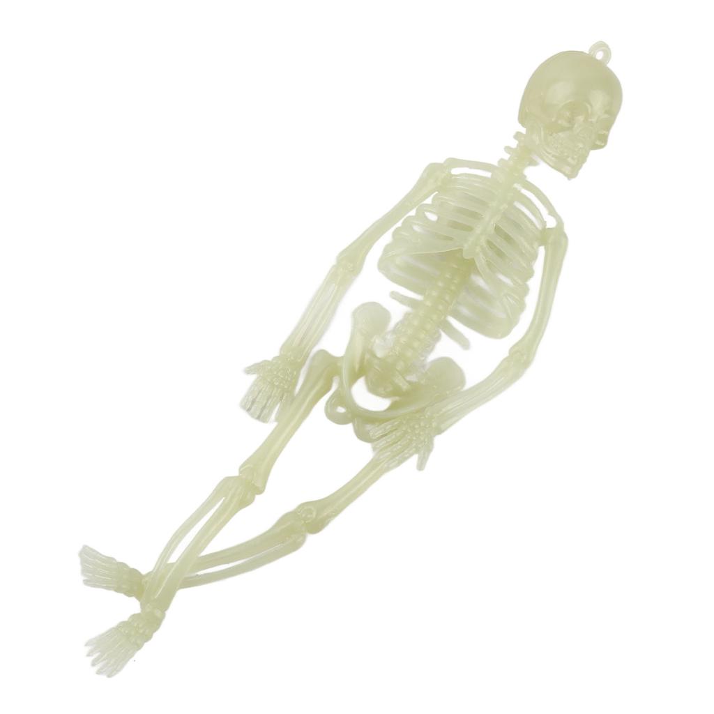 Glowing In The Dark Halloween Skeleton Decor Luminous Lifelike Skeleton Model for Front Lawn