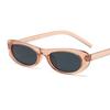 Small Frame Oval Sunglasses Women Brand Designer Vintage Mirror Sun Glasses Female Personality Fashion Shades