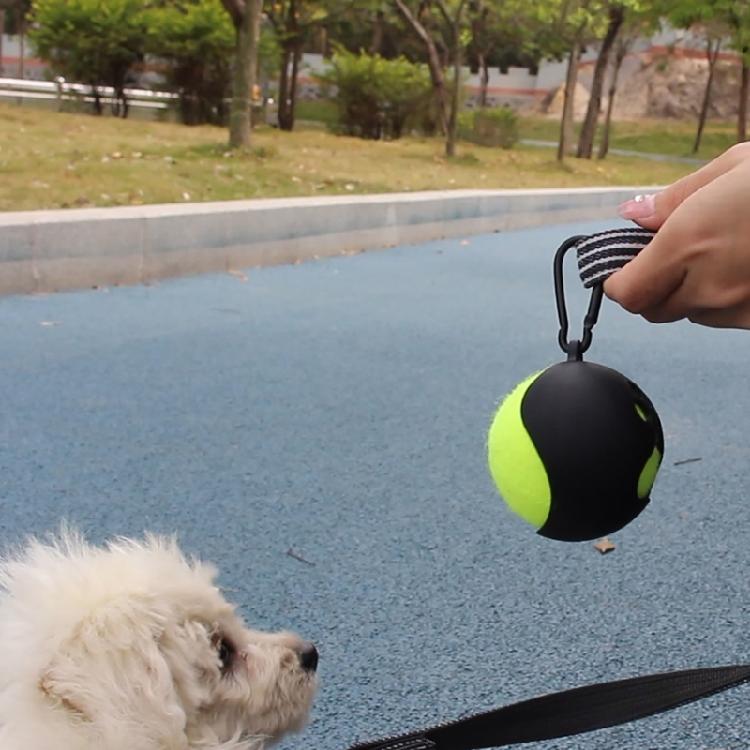 Standard Tennis Ball Holder with Carabiner for Training Walking Tennis Play