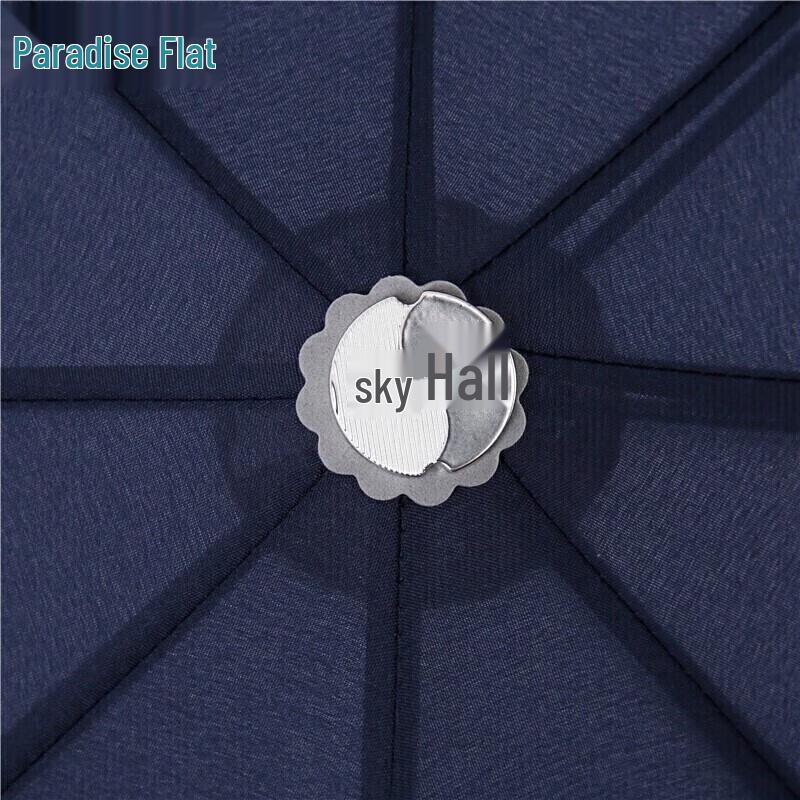 Tiantang Automatic Windproof Folding Umbrella