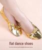Huayu Dance Performance Shoes: Gold Belly Dance Flats with Soft Sole & High Heel Versatile for Indian and Square Stage