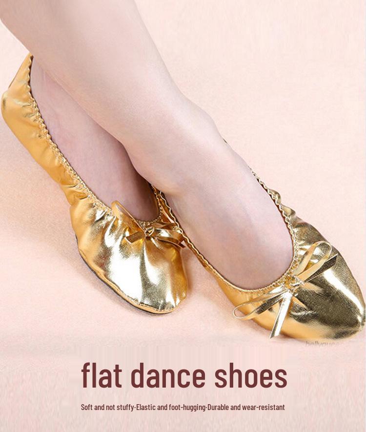 Huayu Dance Performance Shoes: Gold Belly Dance Flats with Soft Sole & High Heel Versatile for Indian and Square Stage