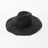 202205-hh5004A ins chic summer hand weave raffia grass have wire for shaping panama fedoras cap men women leisure JAZZ hat