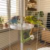 360 Grad Drehung Klarer Vogel Drehspielzeug Verstellbarer Vogelkäfig Spielständer Papageien Beschäftigung