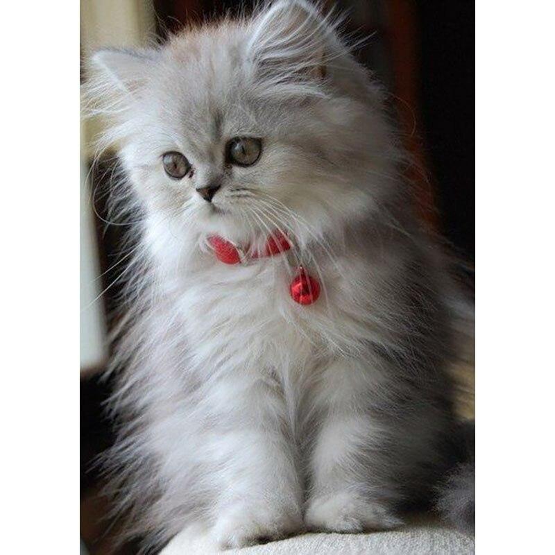 5D DIY Diamond Painting Tabby Cat Art Diamond Embroidery Rhinestones Decorations for Home