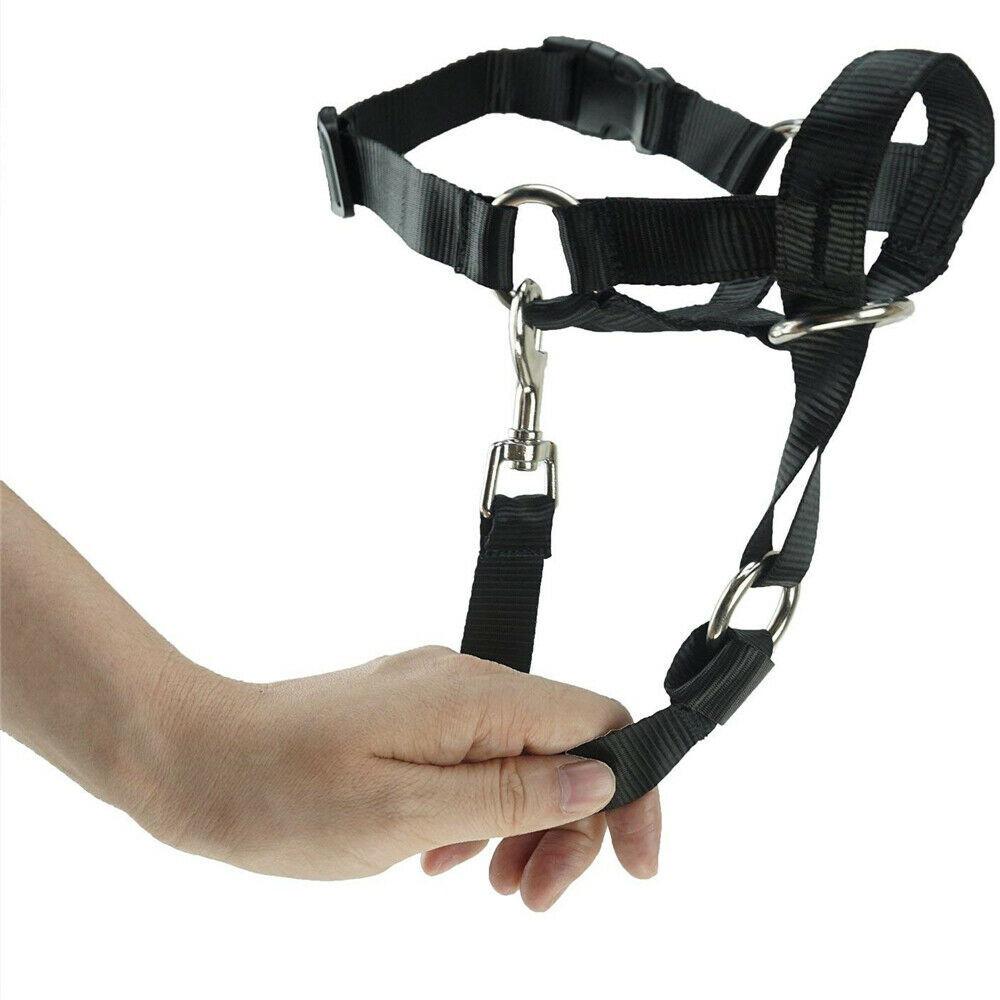 Dogs Prevent from Biting Bite Bark Controller Dog Collar Dog Mouth Cover Harness Pet Muzzle
