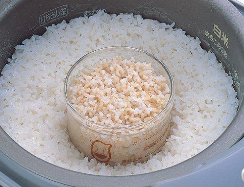 iwaki Pyrex Cup MC202-GM for Sprouted Brown Rice Cooked in an Electric Rice Cooker