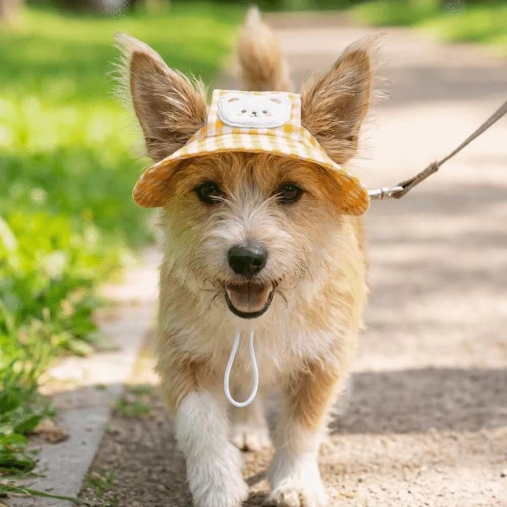 Ear Holes Dog Sun Hat Denim Pet Sun Protection Hat Dog Sunglasses Baseball Cap Outdoor Sports