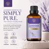 Carno Calm Organic Lavender Essential Oils for Skin 100% Pure Lavender Oil | for Hair Aromatherapy Relaxation Sleep Skin Diffuser | 30ml