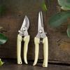 Garden Pruning Scissors, Fruit and Flower Pruning Scissors, Garden Scissors Tools, Stainless Steel Branch Pruning Scissors