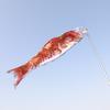 Carp Flag Realistic Ornamental Colorful Japanese Style Hanging Carp Windsock Garden Decoration