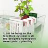 Hook Design Aquarium Basket Hydroponic Basket for Fish Tank Aquarium Plant Holder Heat-resistant Hydroponic Basket Hanging Fish Tank Planter Cups