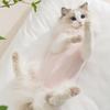 Pet clothing spring and summer thin simple fashion cloth label belly four-legged clothing into kitten teddy than panda clothes