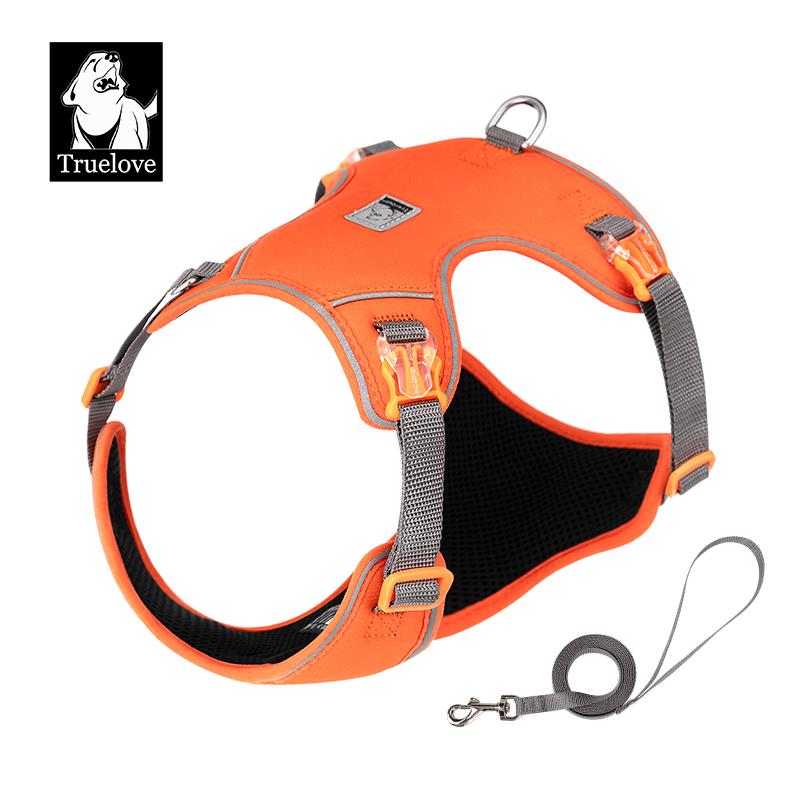 Truelove Hundegeschirr und Leine Set Ultraleicht Atmungsaktiv Hohe Qualität Nylon-Netz Reflektierend Nacht-Training Hund TLH2918