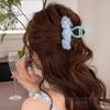 Early Spring Accessories:  Flower GrabbersSweet and Cute Shark Clips Versatile Hair Accessories