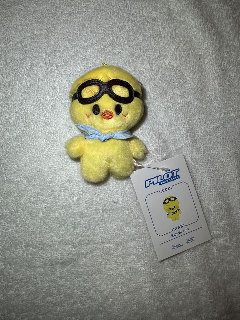 [USED] StrayKids Felix BbokAir