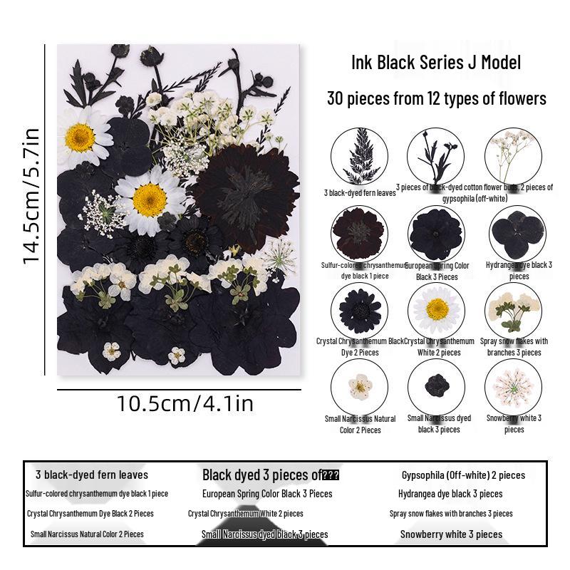 DIY Dried Flower Specimen Sticker Set for Kids: Handmade Pressed Flower Frames & Resin Bookmark Craft Kit
