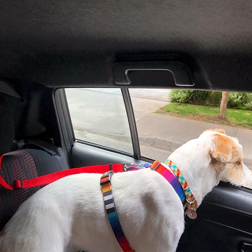 Cinturón de seguridad de coche para mascotas dos en uno, correa de plomo, cinturón de seguridad de asiento trasero, arnés ajustable para collar para perros y gatitos, accesorios para mascotas